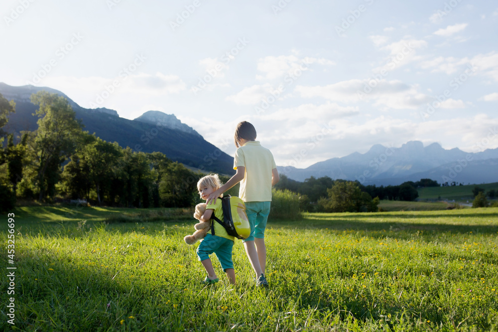 Children hiking in Alps mountains. Kids outdoor