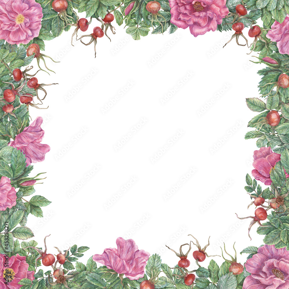 Square frame with flowers, leaves and rose hips. Hand-drawn graphic botanical border. Plant illustrations for design, cards, invitations.