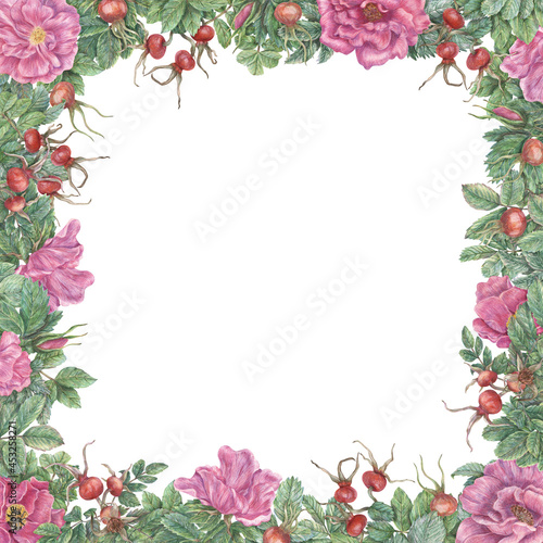 Square frame with flowers, leaves and rose hips. Hand-drawn graphic botanical border. Plant illustrations for design, cards, invitations. © Zinziber
