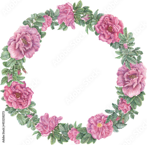 Round wreath with roses and leaves. Hand-drawn graphic botanical frame. Plant illustrations for design, cards, invitations.