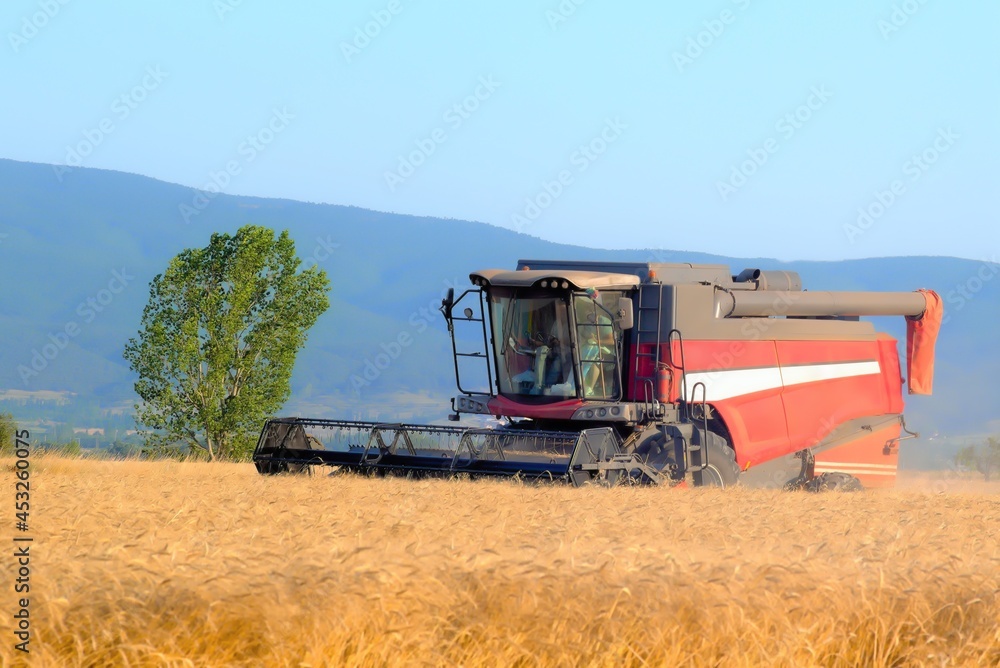 Obraz premium combine harvester on field