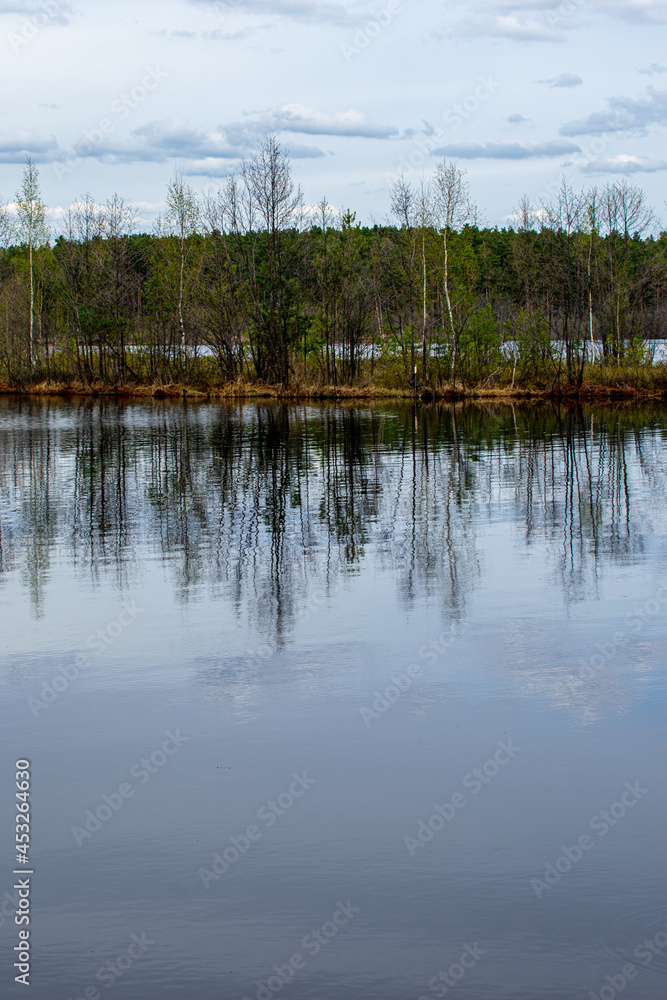 Fototapeta premium beautiful forester lakeside in summer