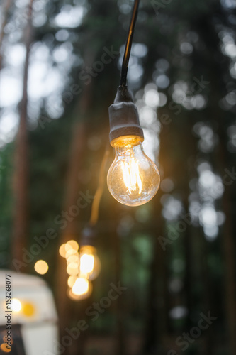bright retro incandescent lamps on the street. the clearing lighting system has been installed. Summer, pine forest. The concept of a picnic and outdoor recreation.