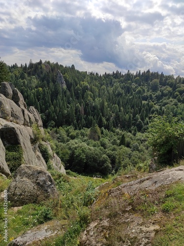 view of the forest and rocks in the mountains 
