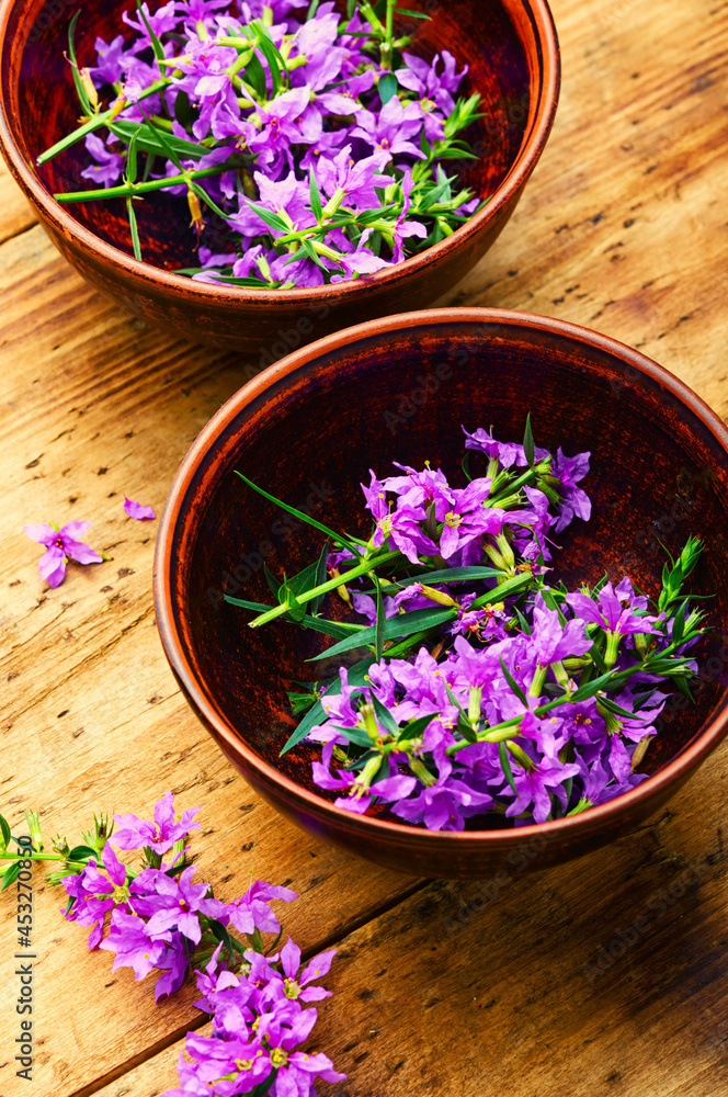 Healthful blooming sally Healthful blooming sally
