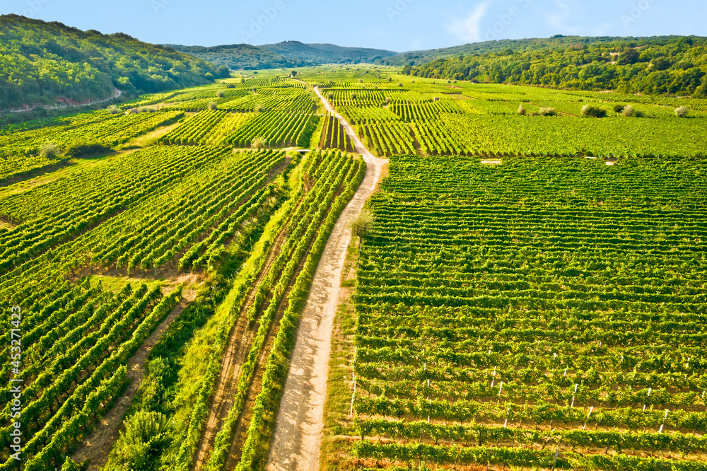 Vrbnik vineyards green landscape aerial view, famous Vrbnicka Zlahtina wine origin