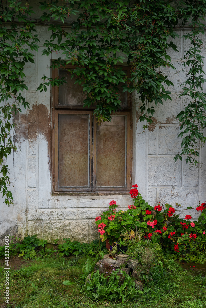 Cclose window with flowers.