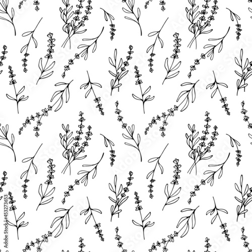 Seamless pattern with lavender in line style. Lavender flowers on the field. Floral pattern with small rustic flowers. Elegant Blooming Botanical hand drawn background.	