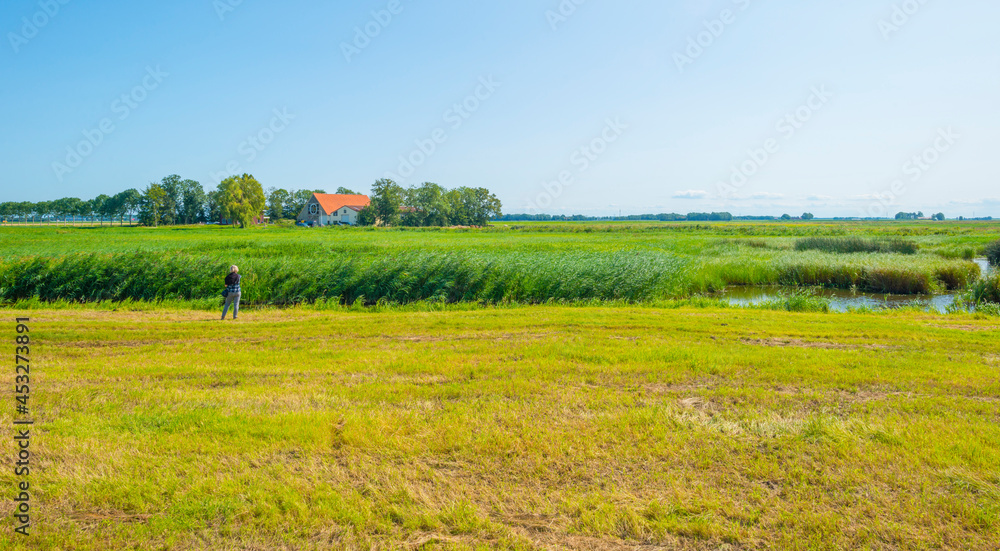 Meadow with green grass along a canal in bright sunlight under a blue sky in summer, Noordoostpolder, Schokland, Flevoland, Netherlands, August 23, 2021 