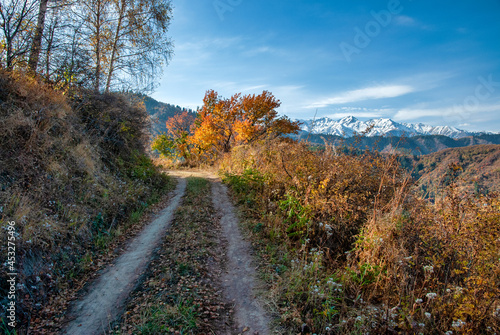 autumn in the mountains