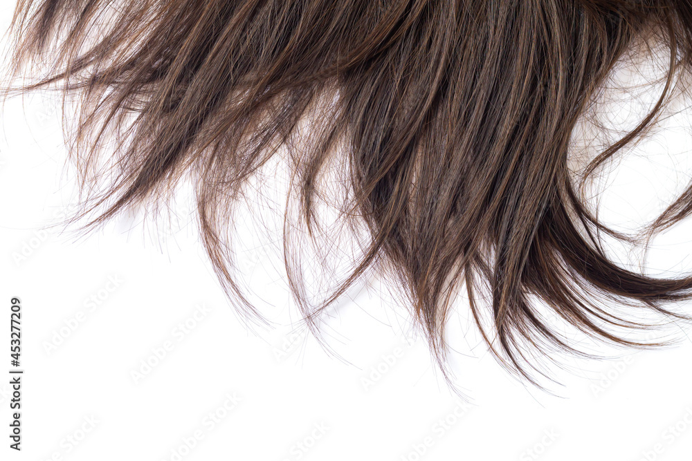 Lock of dark brunette straight hair care or extension concept Lock of dark brunette straight hair care or extension concept