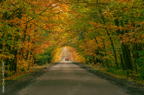 Asfaltowa droga w jesiennym lesie. Rosnące po obu stronach drogi drzewa przechylone są w jej stroną tworząc malowniczy tunel. Pomiędzy drzewami przebijają się promienie słoneczne. © boguslavus