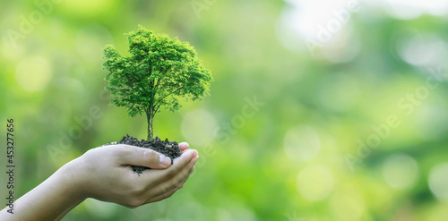 hand planting trees Environmentally friendly and socially responsible campaign concept