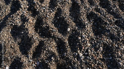 Sandy beach at sunset, close up.