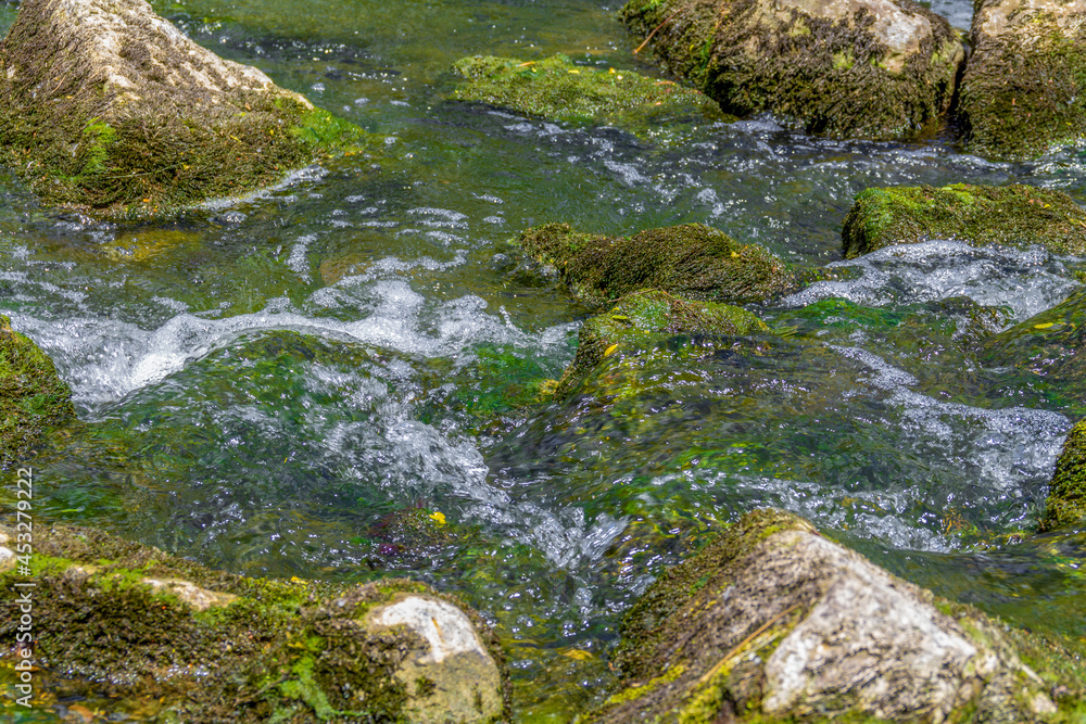 Rivulet closeupriver, rivulet, stone, pebble, water, detail, closeup, flowing, nature, natural, sunny, stream, overgrown, boulder, mossy, slippery, clear, transparent, freshness