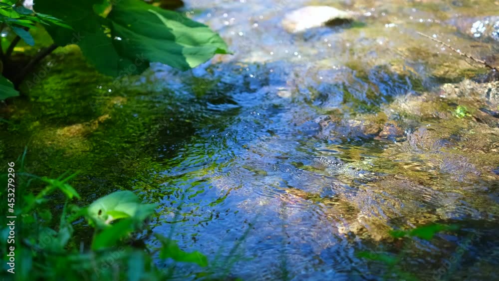Clear torrent water flowing in a high mountain area with vegetation in the foreground. Charming nature landscape. Clear torrent water flowing in a high mountain area with vegetation in the foreground. Charming nature landscape.