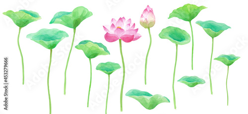 蓮の花と葉のエレメントセット。水彩イラストのベクターデータ。
