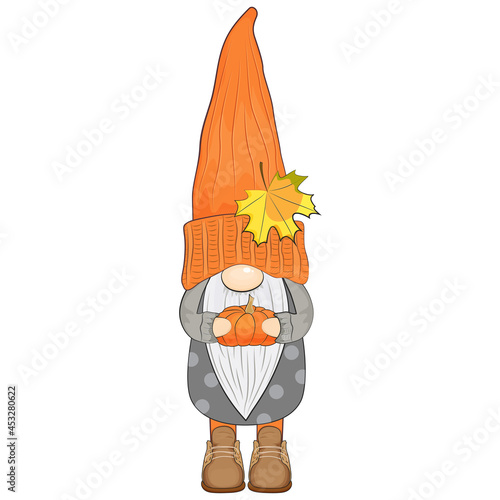 Cute autumn gnome with pumpkin. Vector illustration.