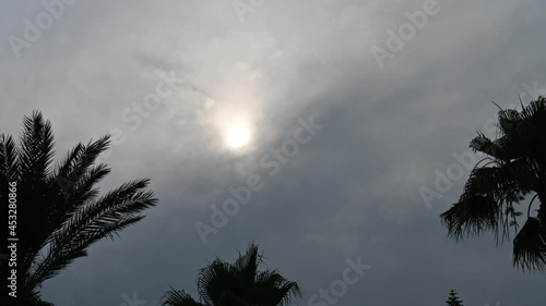 Bad weather on the background of palm trees, overcast sky 
