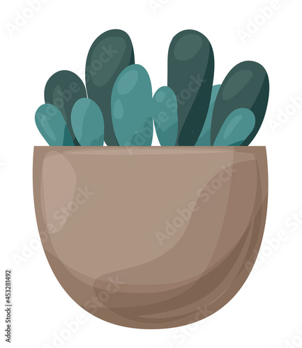 Haworthia Cooper's in a pot. Succulent Decorative home plant on a white background. Vector illustration