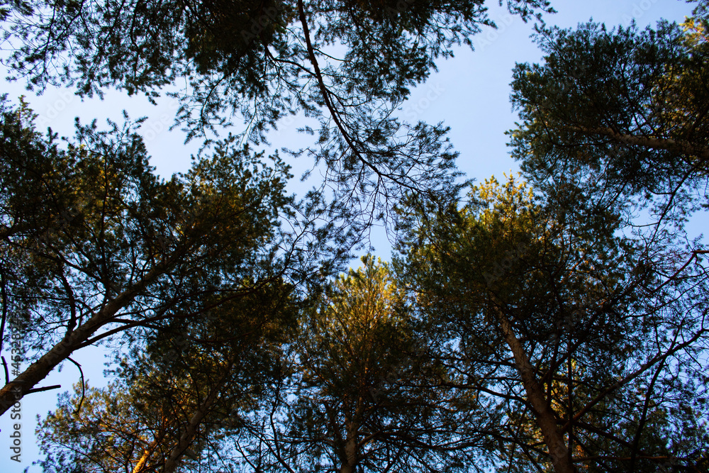 Obraz premium Поселок Уралец, пригород Нижнего Тагила, Свердловская область.