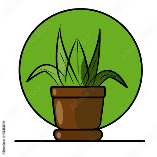 flower green in a pot brown leaves green
