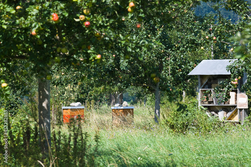 Streuobstwiese mit Bienenstöcken und Insektenhotel © C. Schüßler