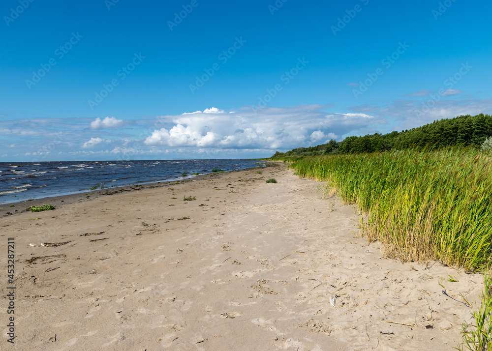 seaside landscape from Estonia, sea grasses and rocks in shallow sea water, Kabli bird center, Parnu Bay, Estonia