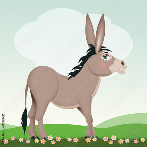 illustration of the donkey