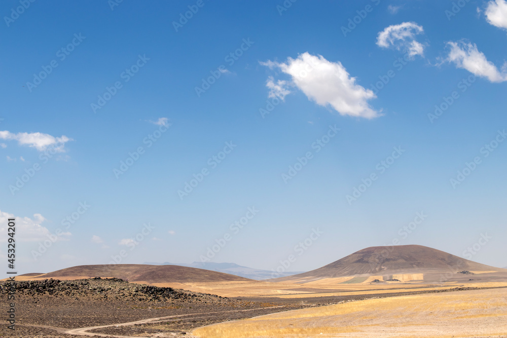 Landscape of hills and sky covered with wheat fields.