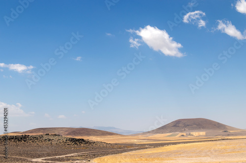 Landscape of hills and sky covered with wheat fields. © Hatice