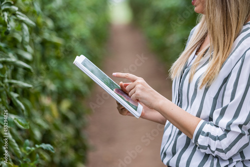 Cropped shot of an attractive young woman using a digital tablet on a farm. Woman with digital tablet at plantation of vegetables. Female Farm Worker In Greenhouse Checking Tomato Plants © Dragana Gordic