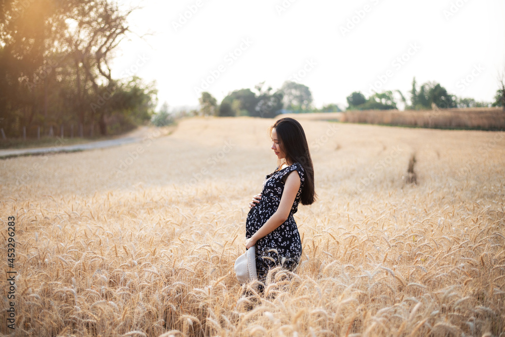Young pregnant woman wearing a dress and woolen hat in a wheat field on the background of the setting sun Young pregnant woman wearing a dress and woolen hat in a wheat field on the background of the setting sun
