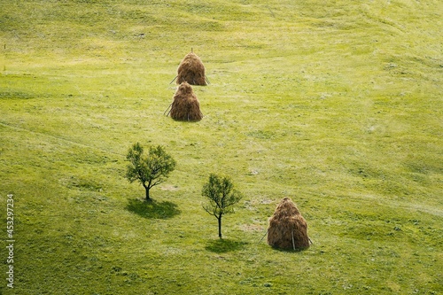 Landscapw with tree and haystacks photo