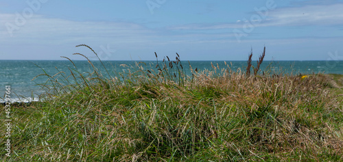 Grass and ocean. South-west coast Ireland