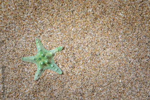 Beautiful starfish on beach sand, top view.