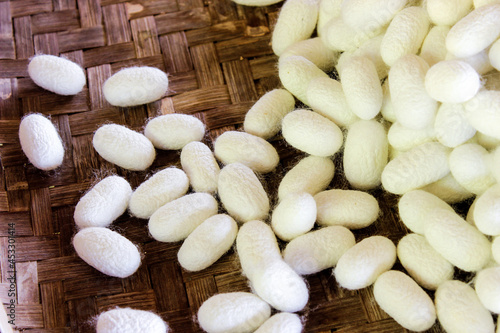 The silkworm cocoons in weave bamboo tray