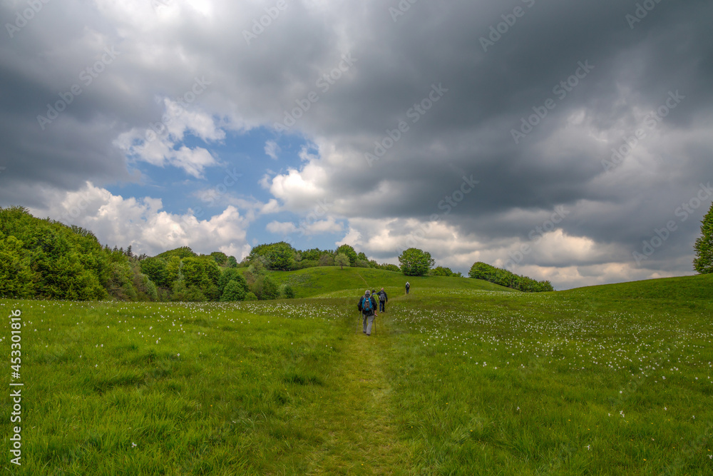 Natural landscape in springtime on Pian della Cavalla mount in Liguria, in the municipality of Fascia, Genoa province, Italy Natural landscape in springtime on Pian della Cavalla mount in Liguria, in the municipality of Fascia, Genoa province, Italy
