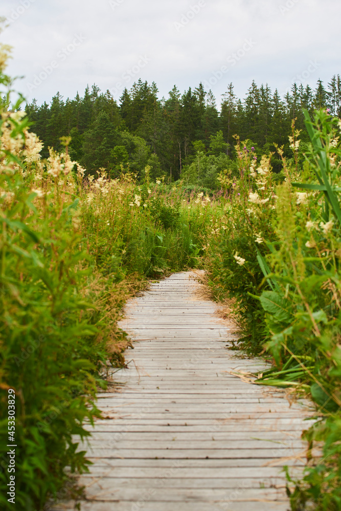 A wooden path around the beautiful pond Olsina. The Olsina pond near Horni Plana is one of the highest altitude ponds in Czech republic
A wooden path around the beautiful pond Olsina. The Olsina pond near Horni Plana is one of the highest altitude ponds in Czech republic