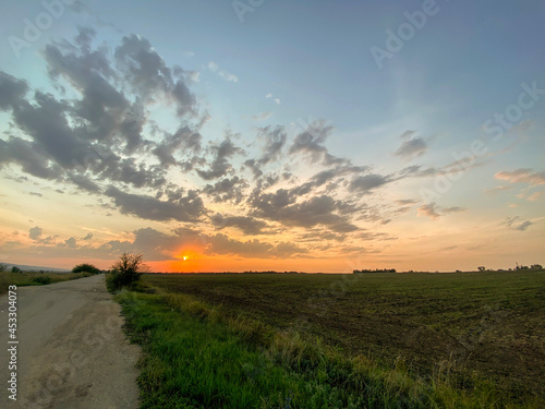 sunset over the field © Arruoy