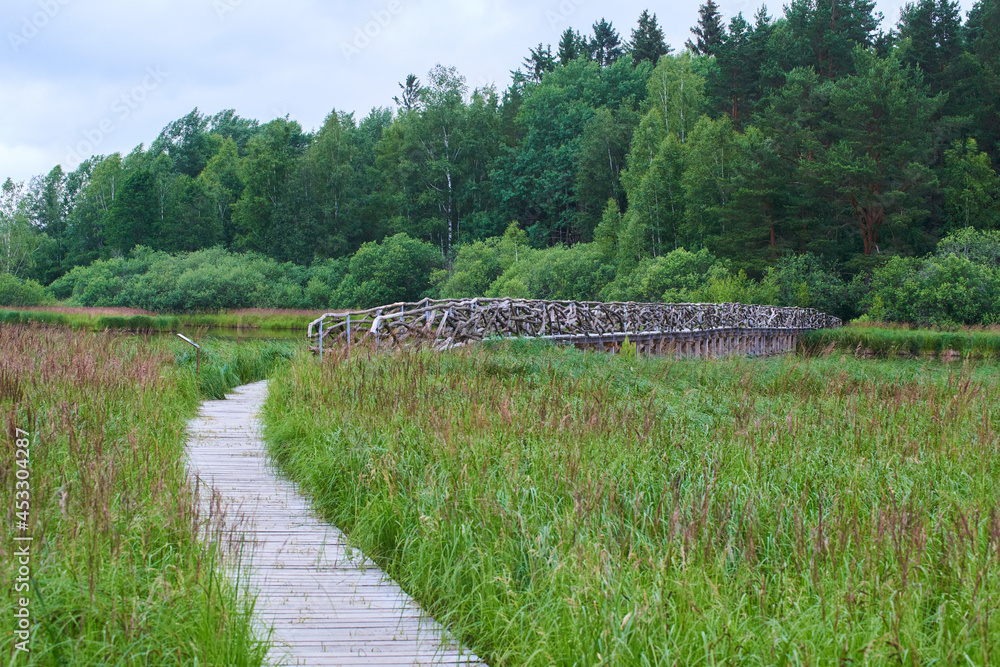 A wooden path around the beautiful pond Olsina. The Olsina pond near Horni Plana is one of the highest altitude ponds in Czech republic
A wooden path around the beautiful pond Olsina. The Olsina pond near Horni Plana is one of the highest altitude ponds in Czech republic