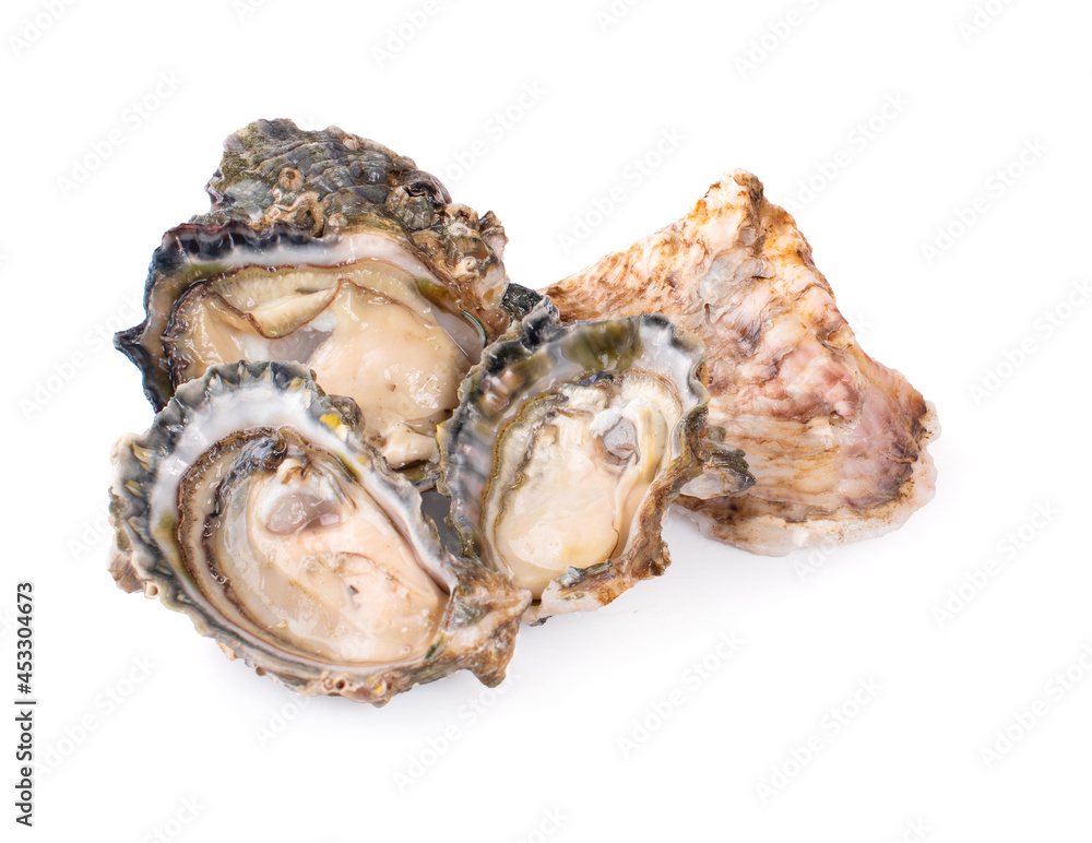 Fresh opened oyster on white background