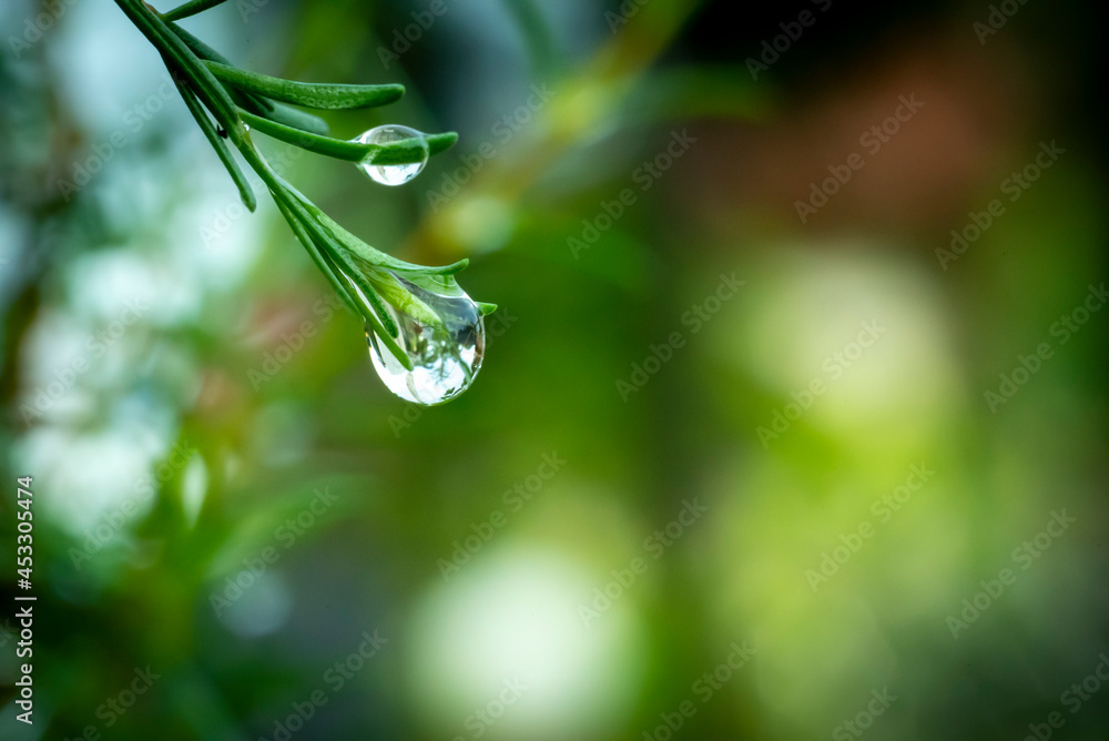 raindrop when raining.