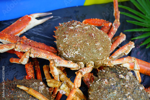 Sea spider crab for sale at a French seafood market in Brittany photo