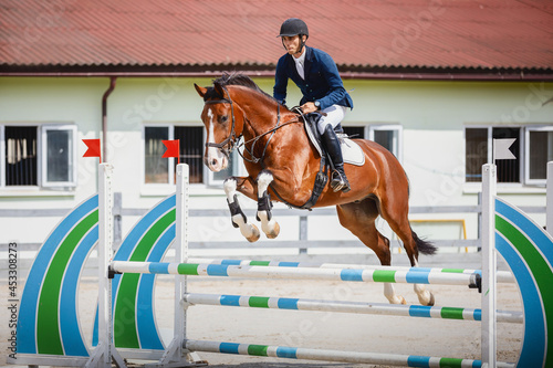 closeup portrait of young gelding horse and handsome man rider jumping obstacle