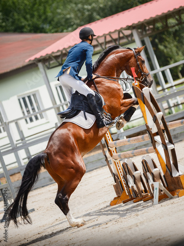 young gelding horse and adult man rider jumping during equestrian showjumping competition in daytime in summer © vprotastchik