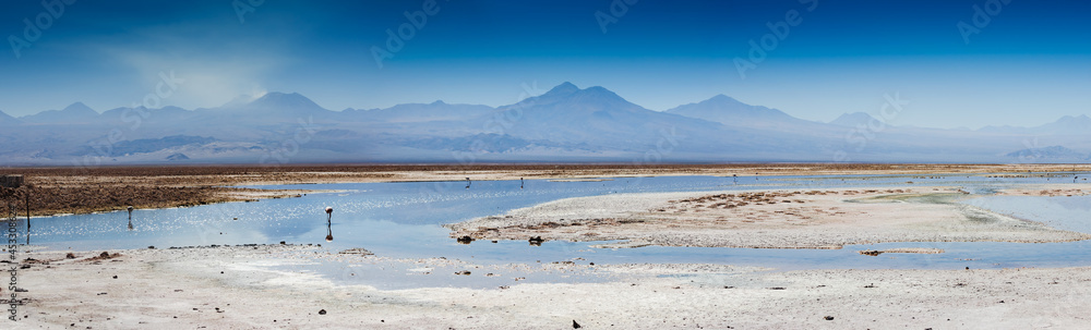 Panorama of Lake Chaxa near San Pedro de Atacama, Chile