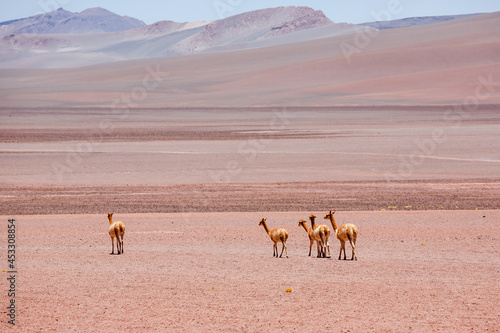 Extreme landscape, off road in San Pedro de Atacama, Chile