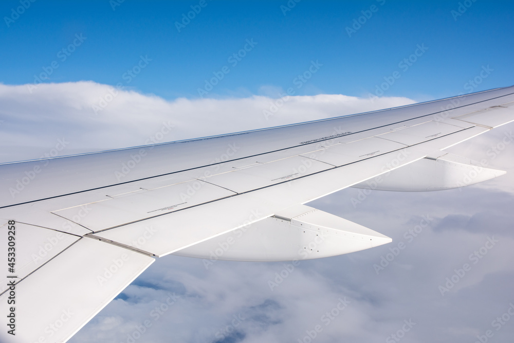 Volando Volando