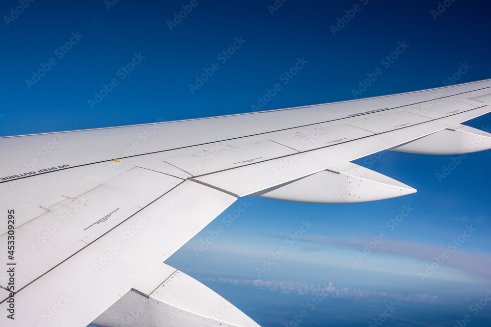 Fototapeta premium Volando